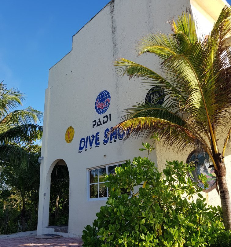 Manati Divers-图伦必去景点