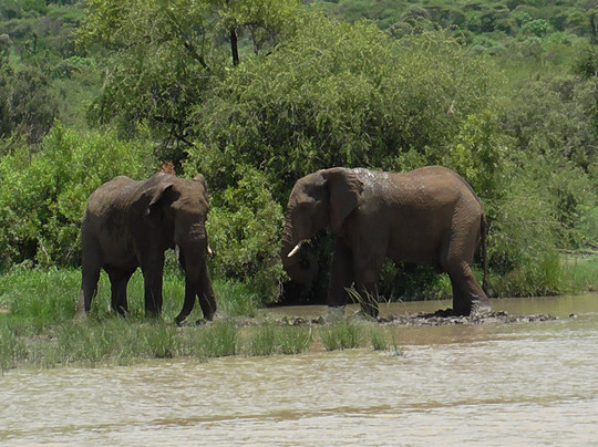 Weekdaysafaris-比勒陀利亚必去景点