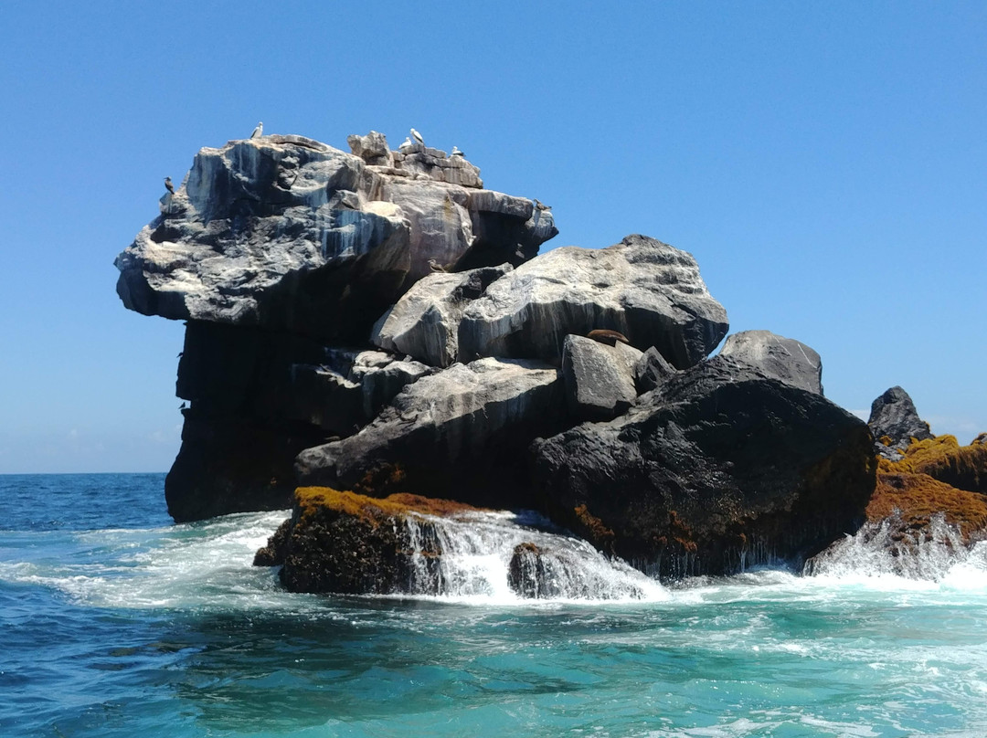 Galapagos Unbound-圣克鲁斯必去景点