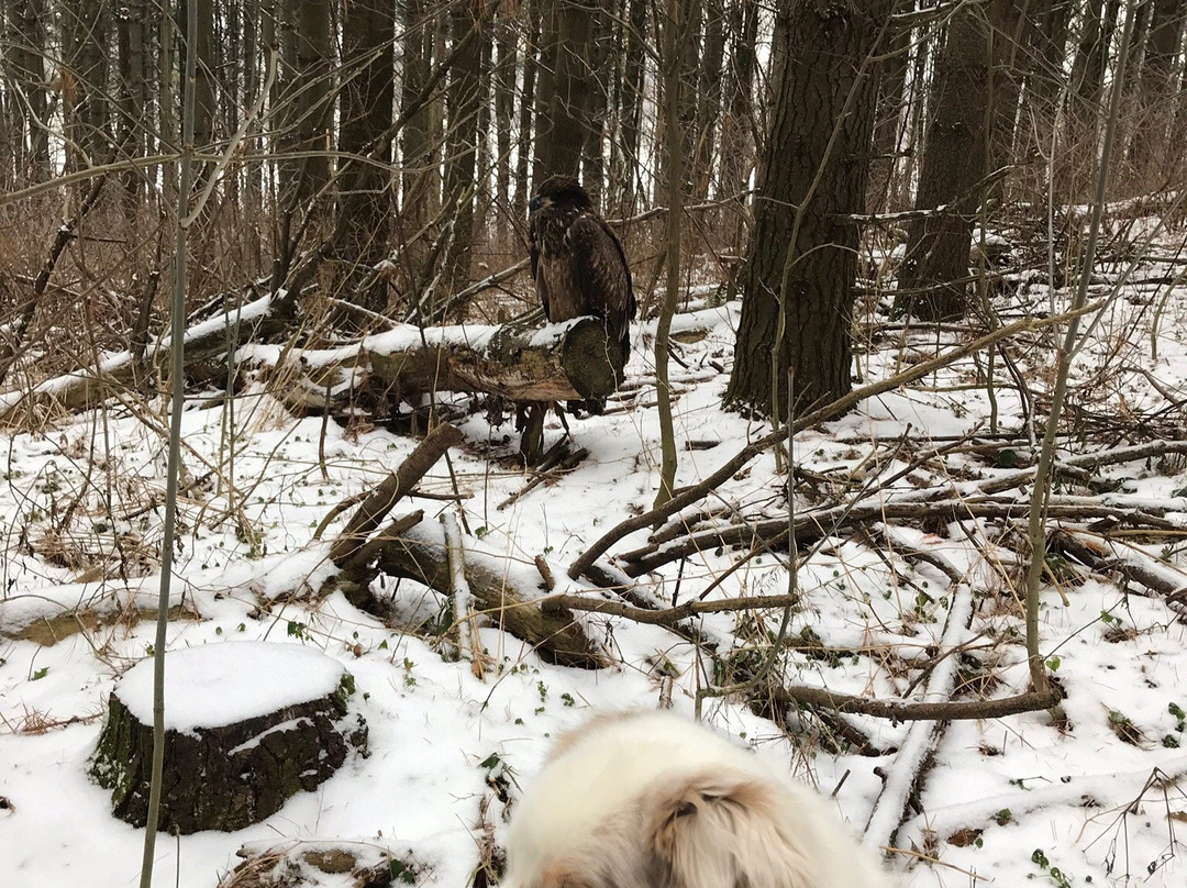 Christie Lake Conservation Area-邓达斯必去景点