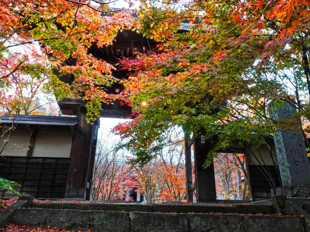 Shonen-ji Temple景点图片