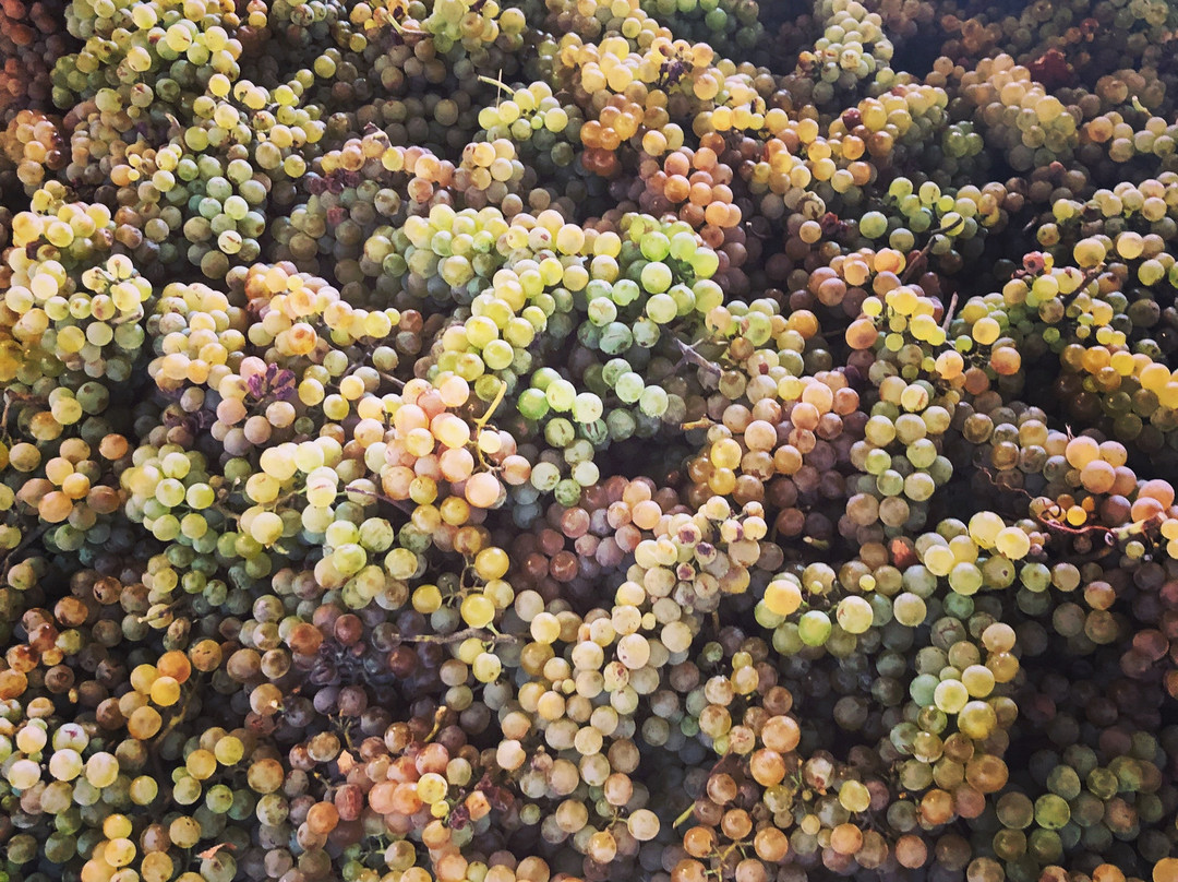 Leony’s Cellars-Enumclaw必去景点