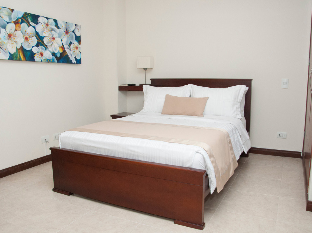 Hotel Primavera Plaza主图