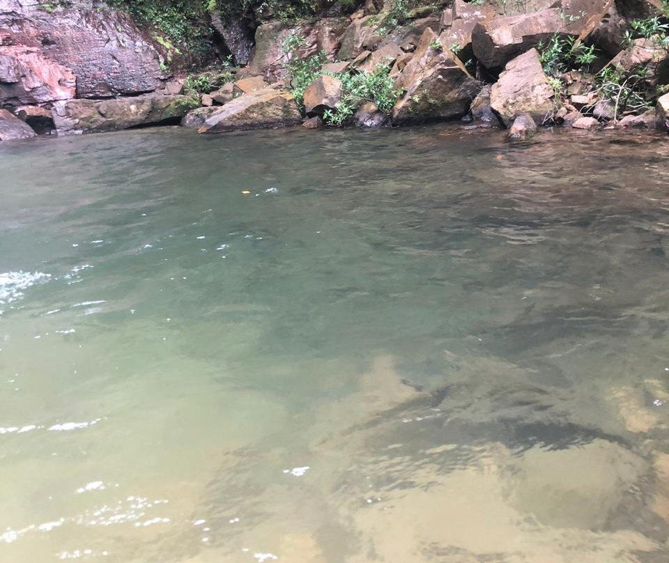 Cachoeira Serra Verde景点图片