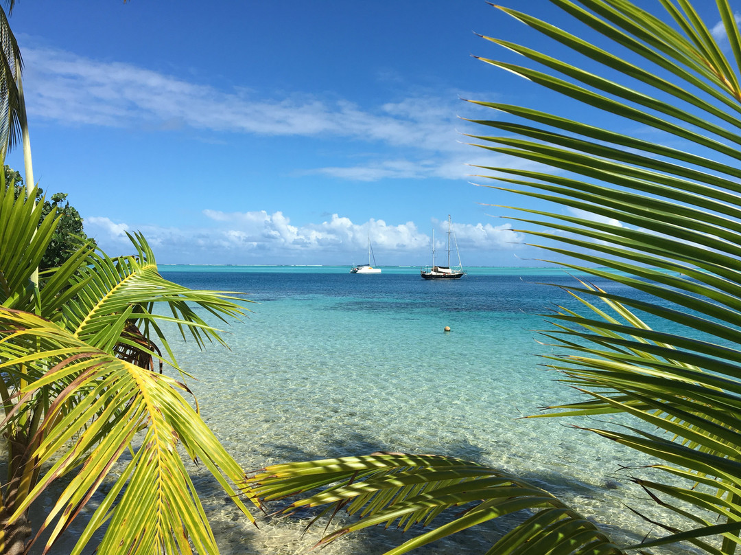 Croisiere Polynesie景点图片