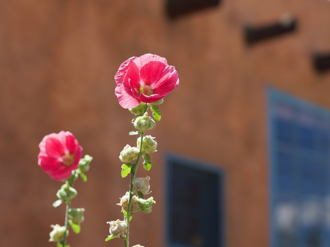 Canyon Road-圣菲必去景点