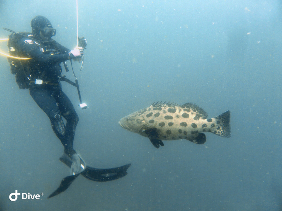 African Watersports-Umkomaas必去景点