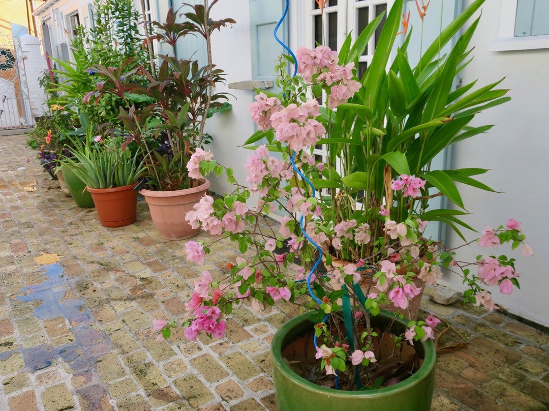 At Home In The Tropics主图