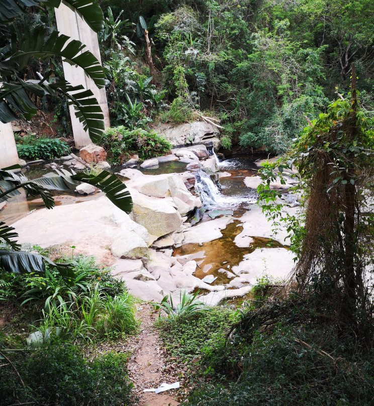 Paradise Valley Nature Reserve景点图片