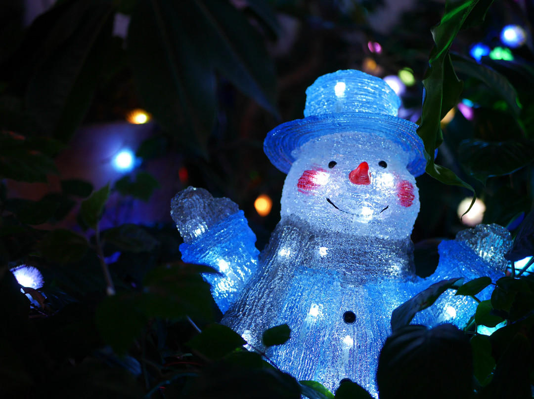 Ikutopia Shoku Hana-新泻市必去景点