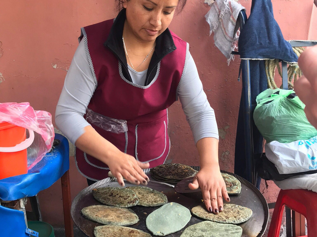 Travelling Herbivore-墨西哥城必去景点