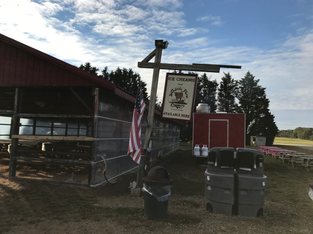 Coleman's Christmas Tree Farm-Middletown必去景点