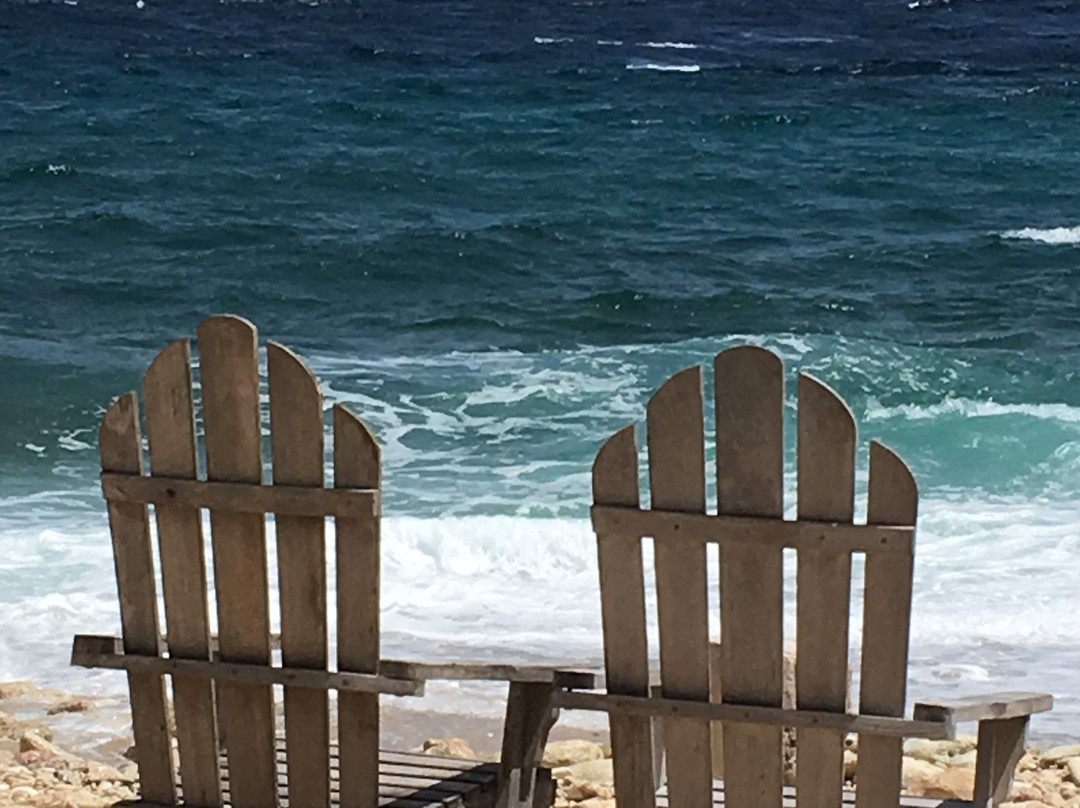 Central Dive Curacao-威廉斯塔德必去景点