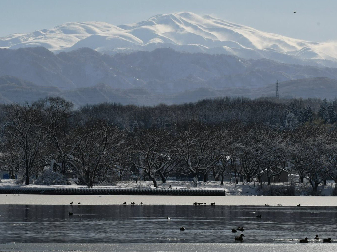 Kibagata Park景点图片