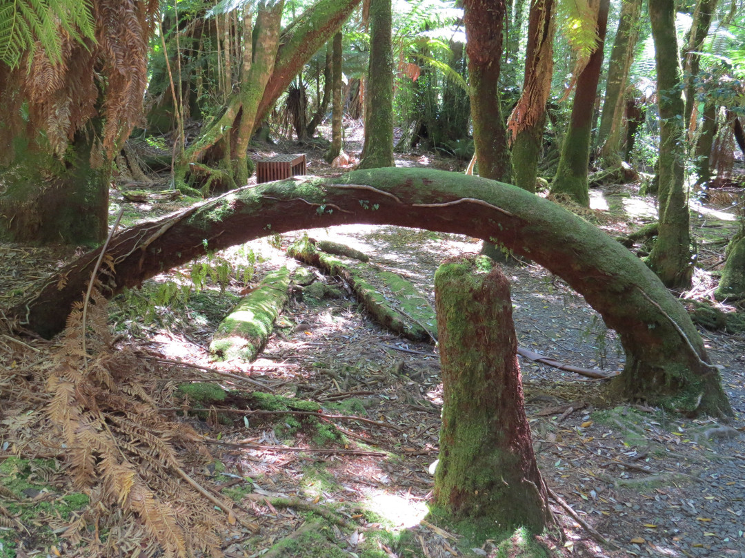 Styx Valley-Maydena必去景点