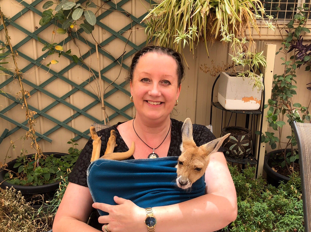 Josephine's Gallery and Kangaroo Orphanage-库伯佩迪必去景点