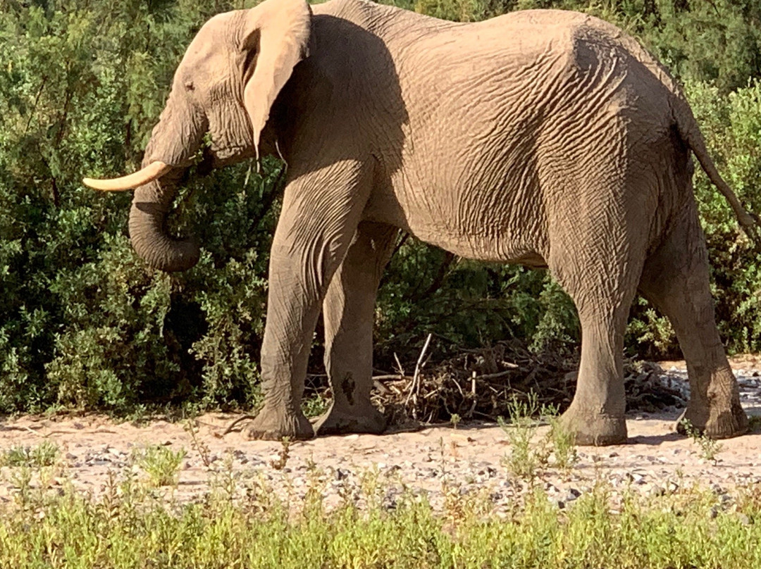 Hoanib River-Kaokoland必去景点