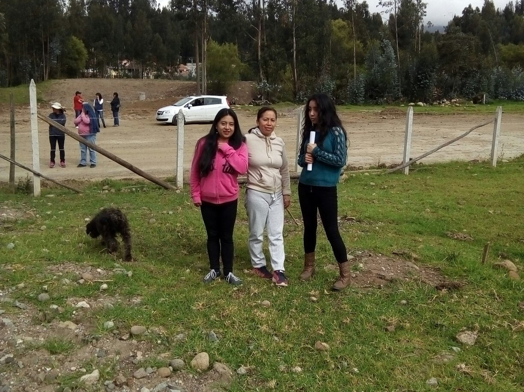 华尔道夫阿斯多利亚度假酒店主图