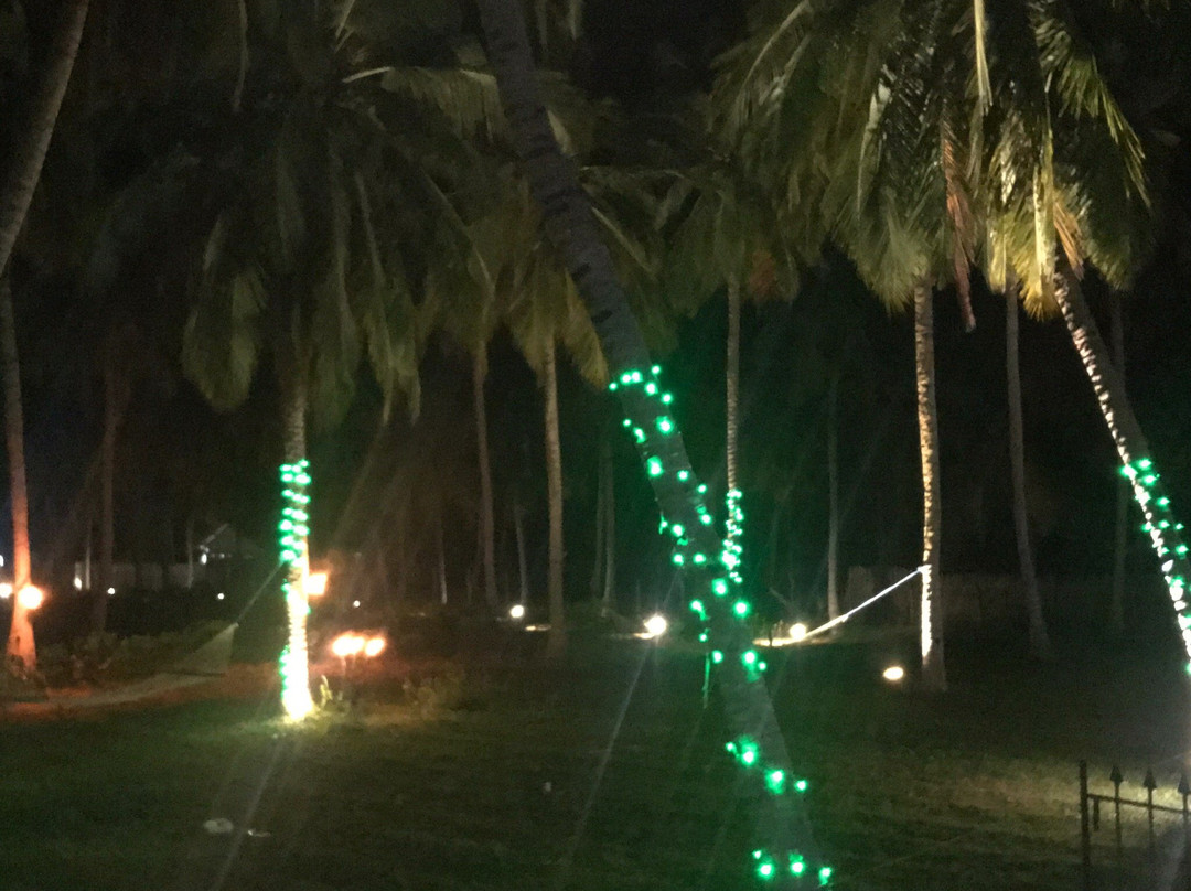 Wind Blend Kite Resort主图