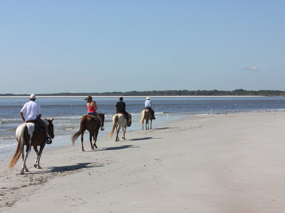 Kelly Seahorse Ranch-阿米莉亚岛必去景点