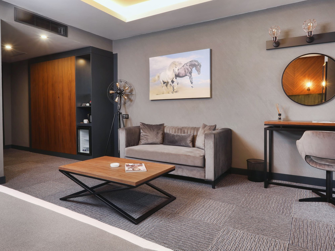 Hotel ON7 Sakarya主图