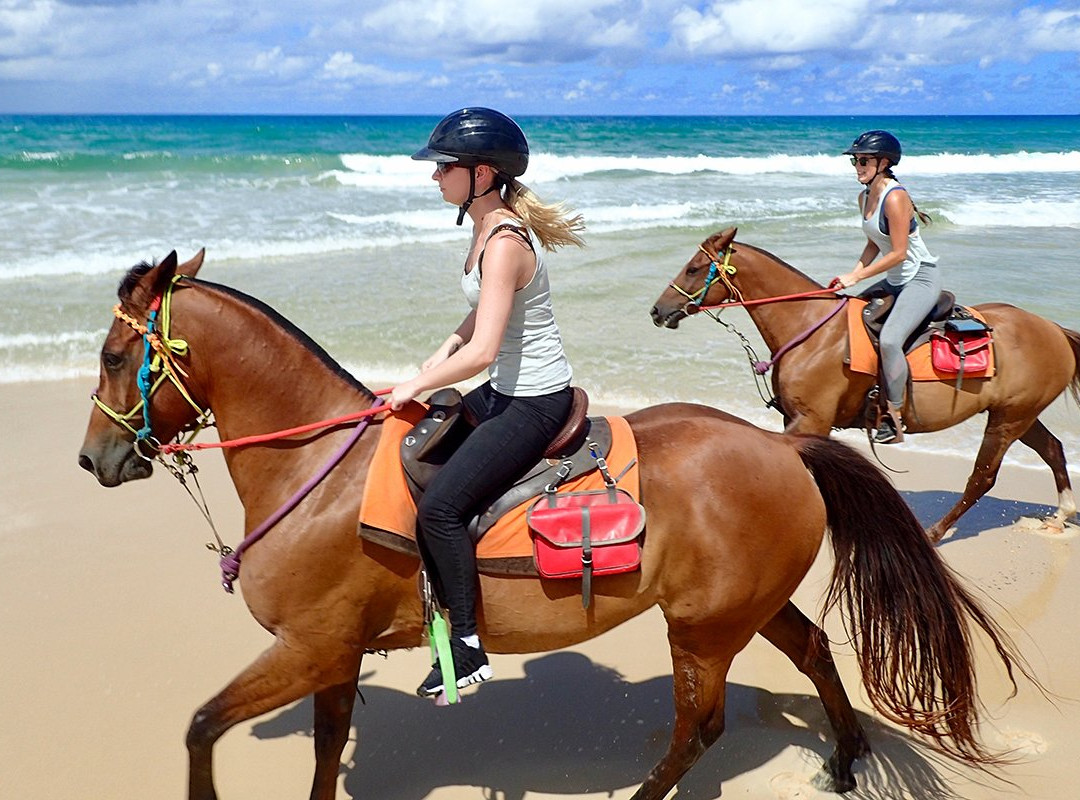 Noosa Day Tours景点图片