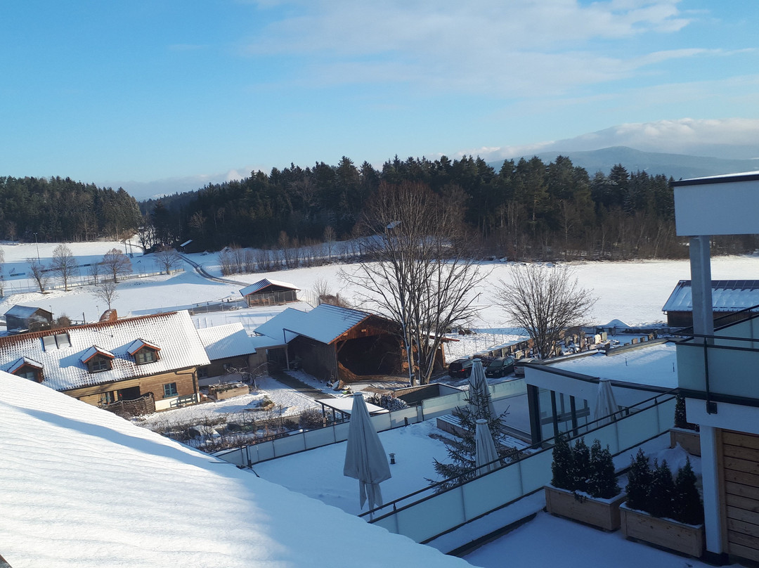 Wellnesshotel Zum Bräu主图