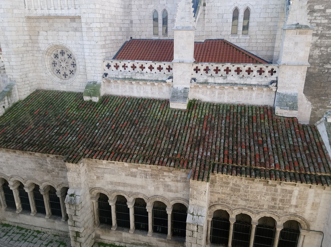 Nexus Valladolid Suites & Hotel主图