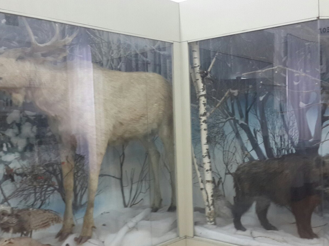 Altai State Local Lore Museum景点图片