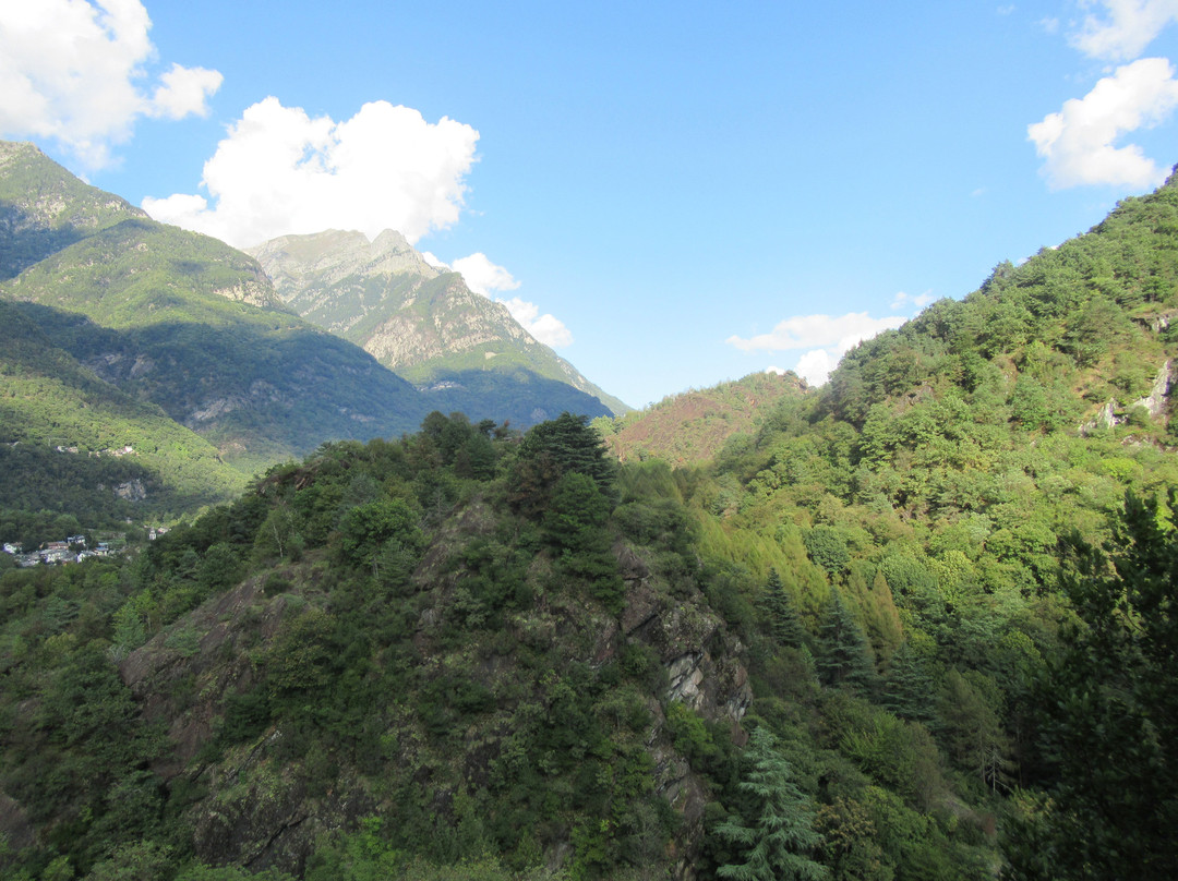 Parco Archeologico Botanico del Paradiso e Museo Archeologico della Valchiavenna景点图片