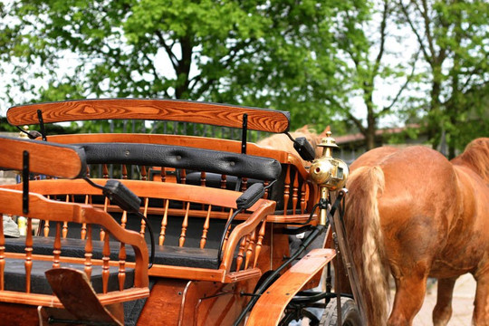 Pferdefuhrhalterei Winterberg-Winterberg必去景点