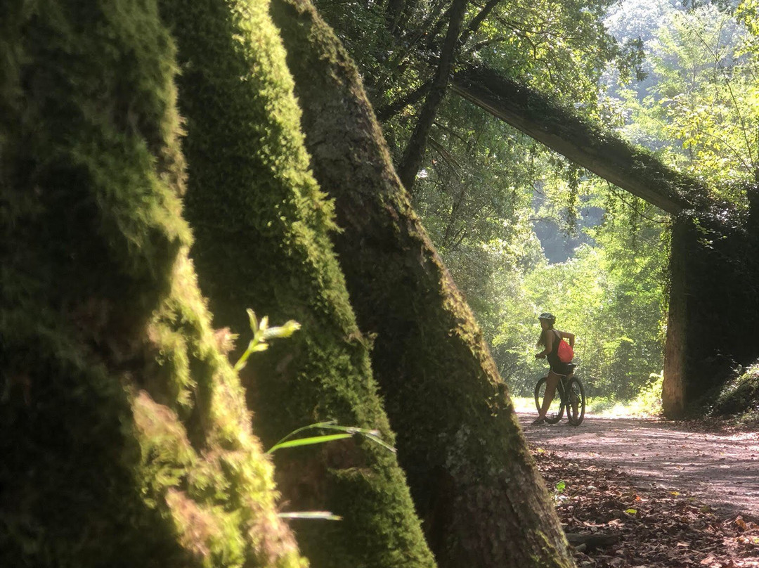 Leitzaran Bisitarien Etxea-Andoain必去景点