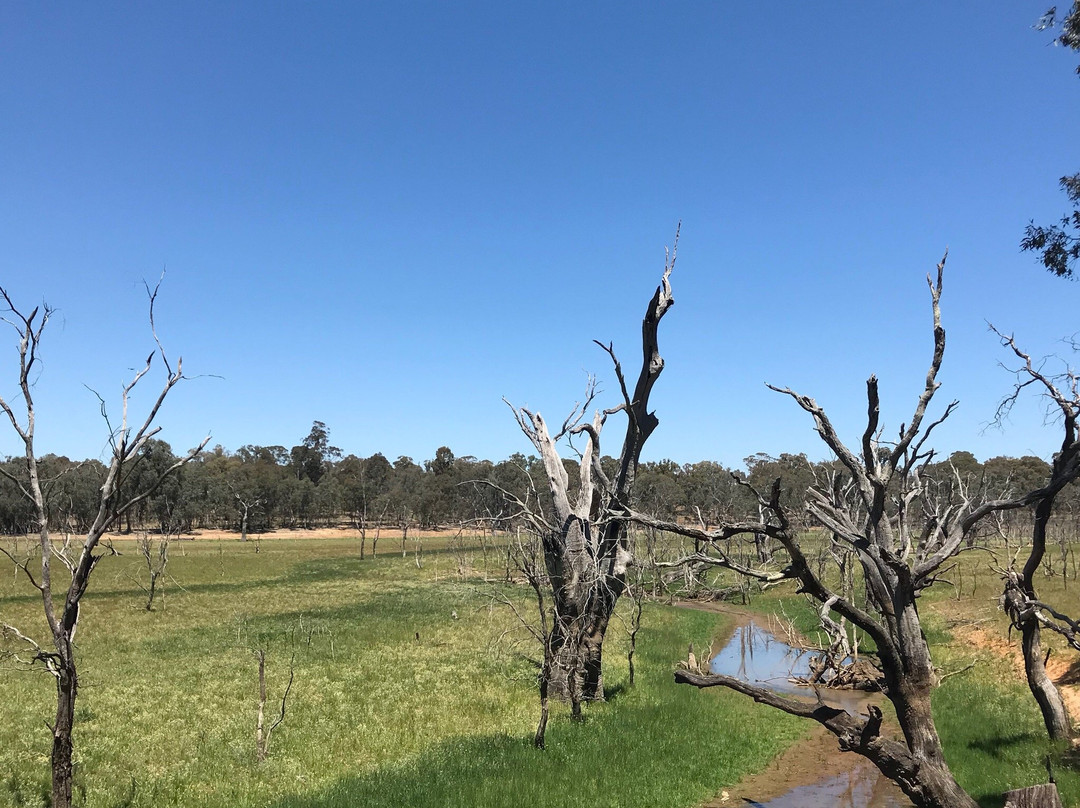 O'Keefe Rail Trail-Heathcote必去景点