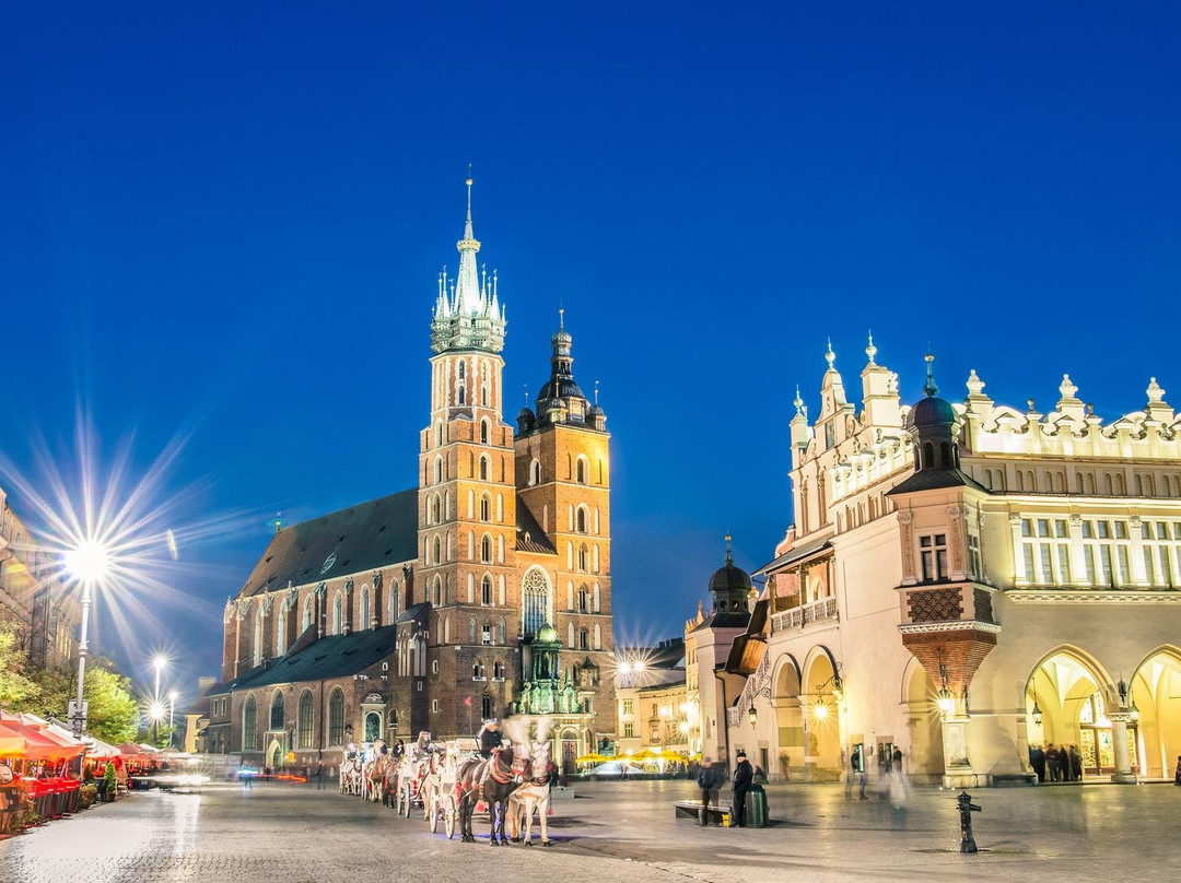 Royal Tours Krakow景点图片