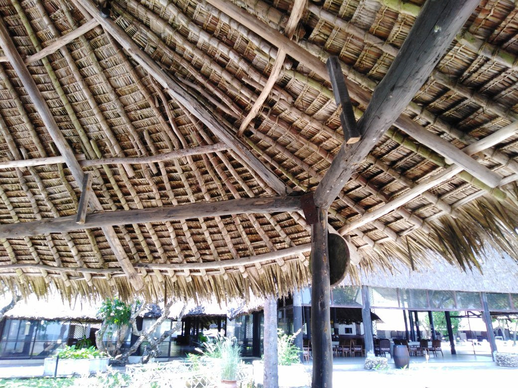 Alliance Safari Beach Hotel主图