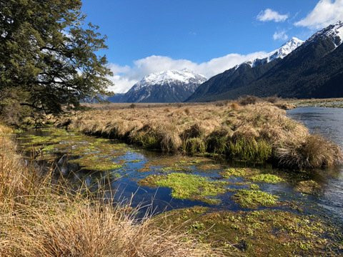 O'Malleys Track-亚瑟隘口国家公园必去景点