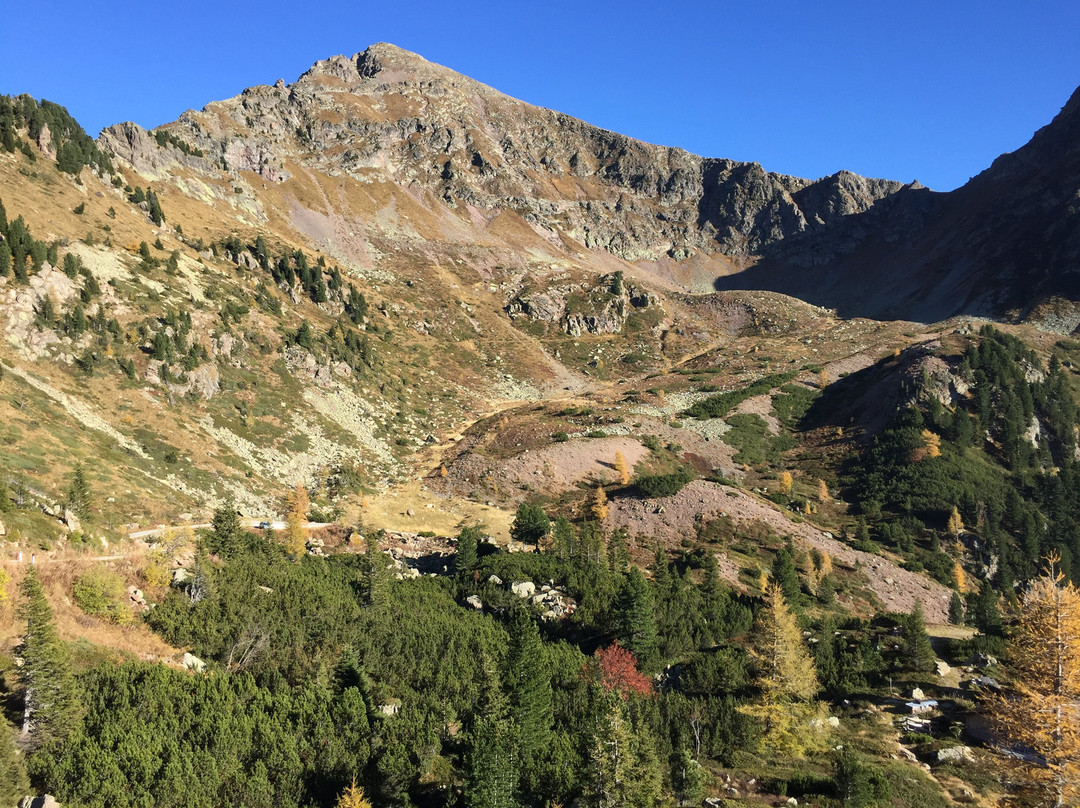 Strada Del Passo Manghen景点图片