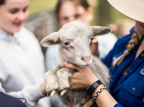 Westside Tours-珀斯必去景点
