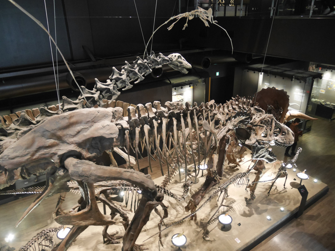 Mifune Dinosaur Museum景点图片