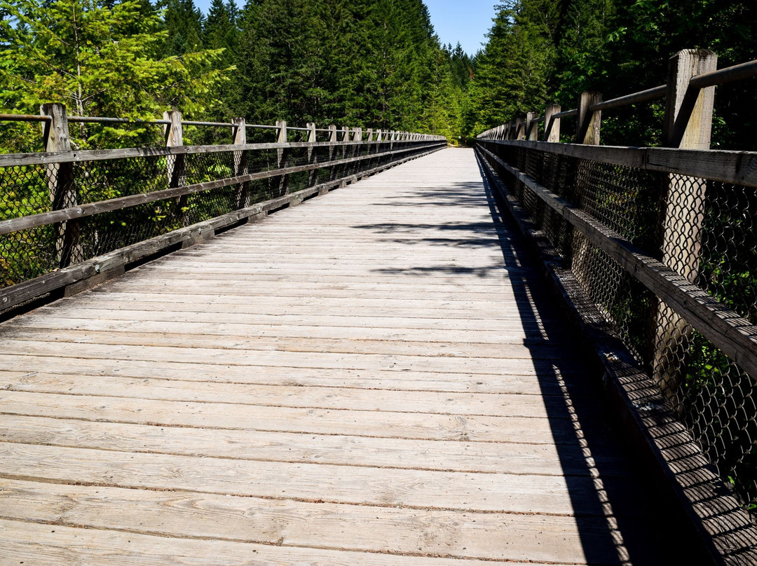 Cowichan Lake Visitor Services景点图片