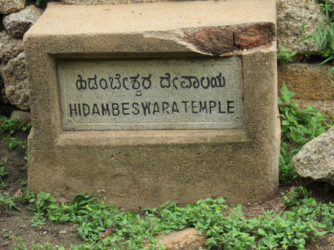 Hidimbeshwar Temple景点图片