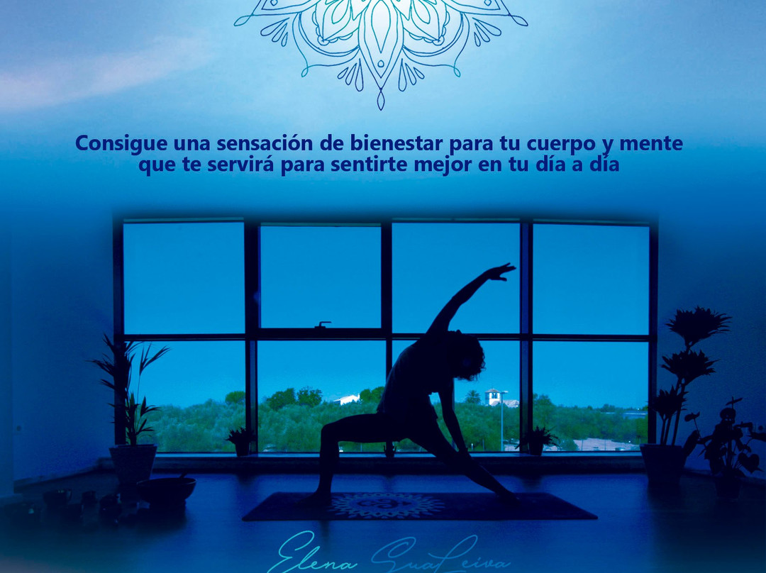 Vive YOGA-迈雷纳德拉尔哈拉费必去景点