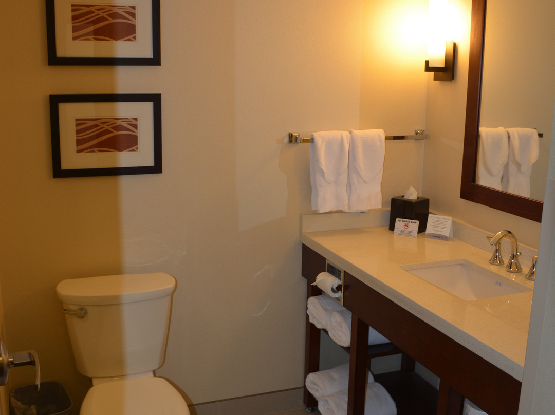 Comfort Inn & Suites Edmonton International Airport主图