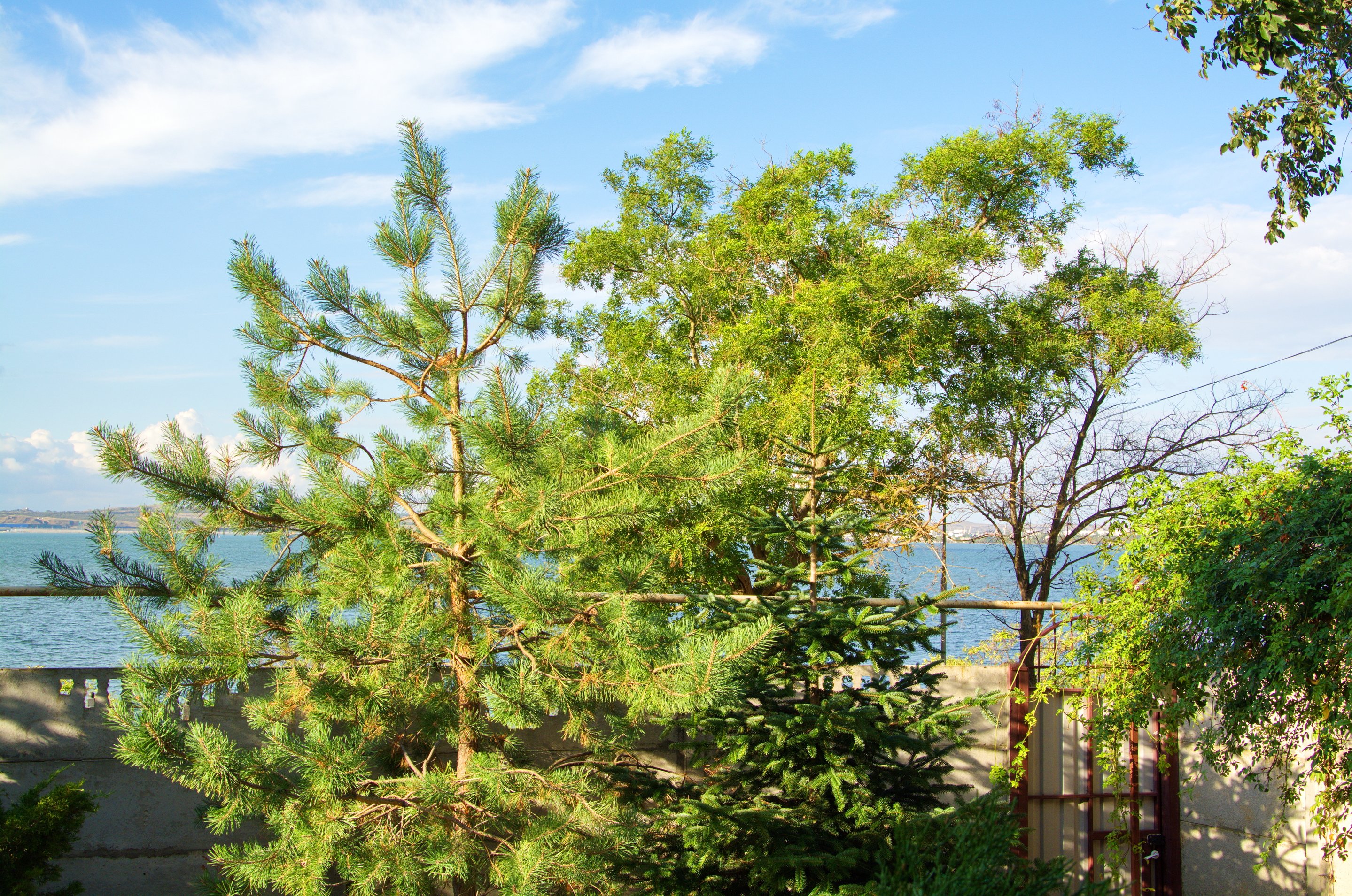 Hotel Frantsuzskiy Vtornik-酒店景观