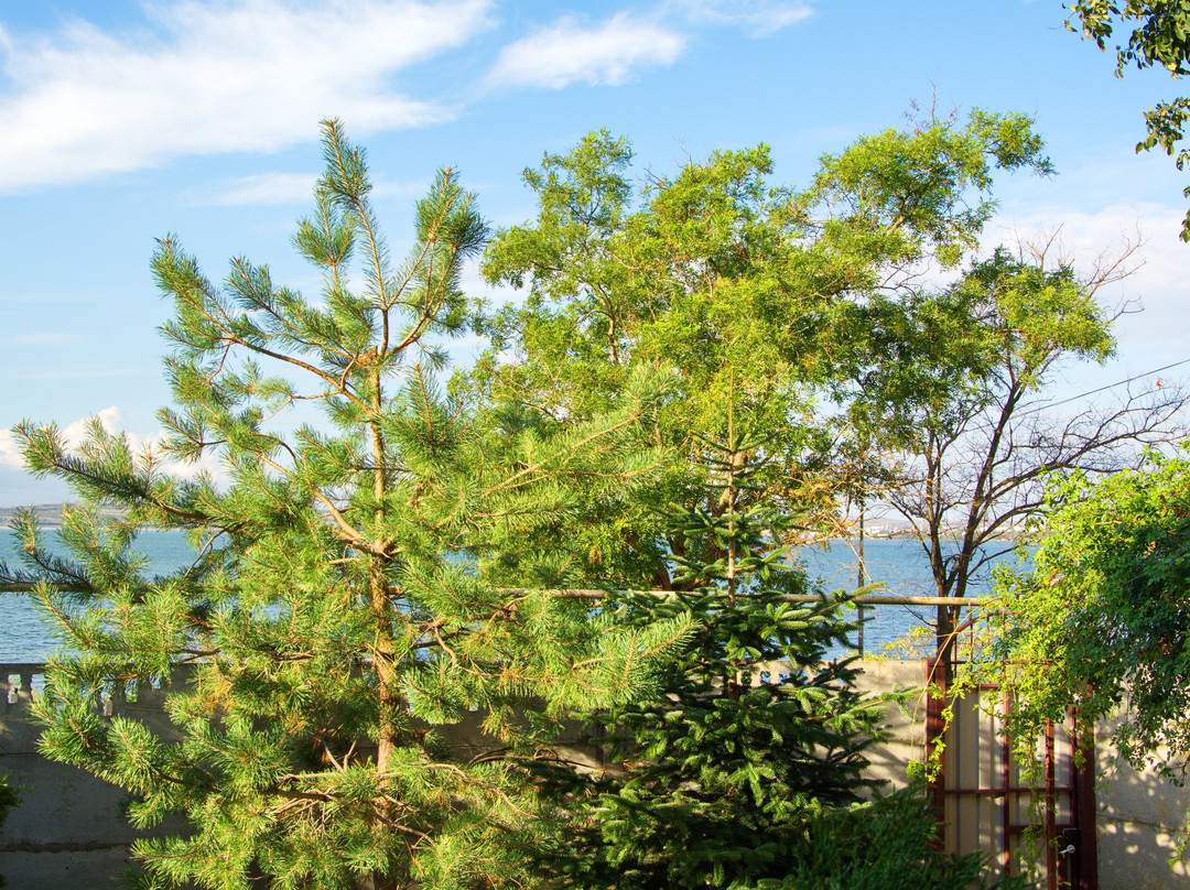 Hotel Frantsuzskiy Vtornik主图