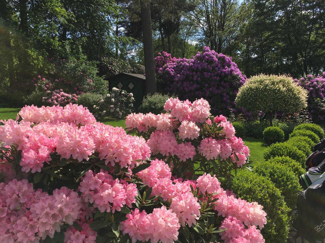 Golf und Country Club Am Hockenberg-Seevetal必去景点