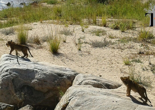 Thula Seats-白河必去景点