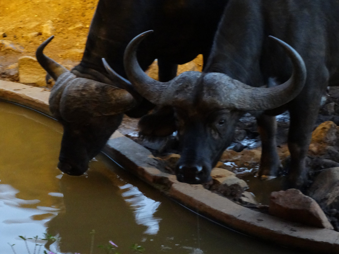 萨洛瓦萨尔特利克游戏旅馆主图