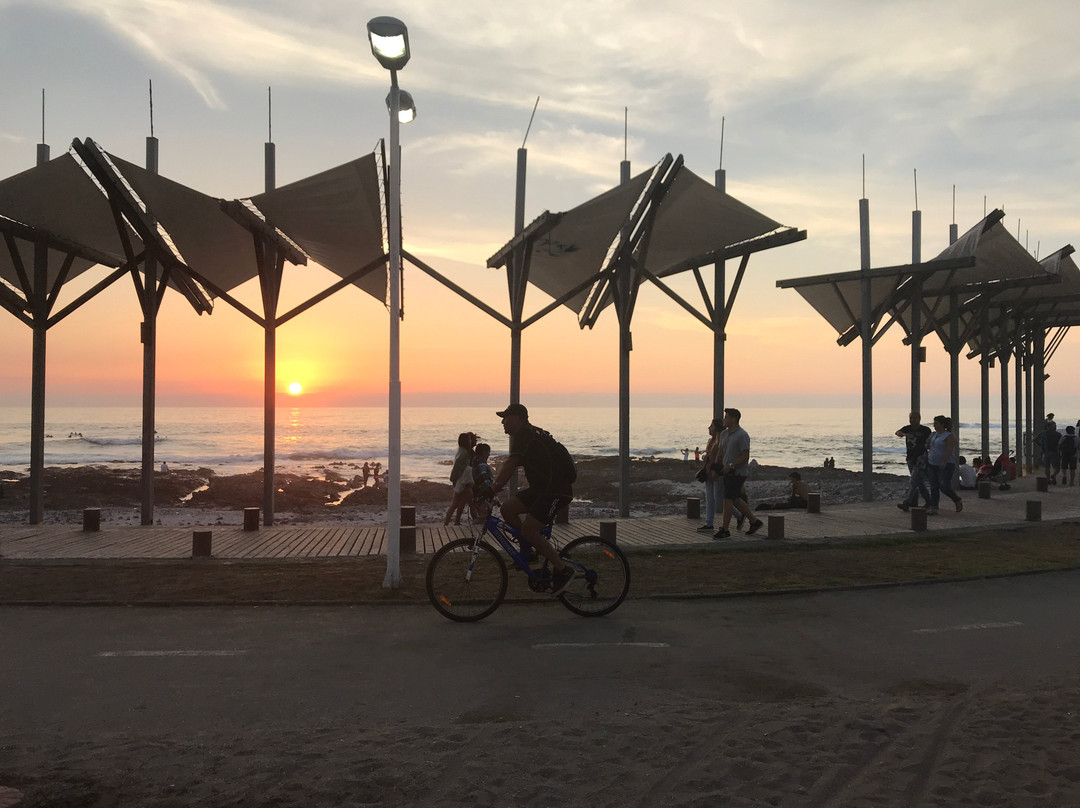 Rental Bike Iquique-伊基克必去景点