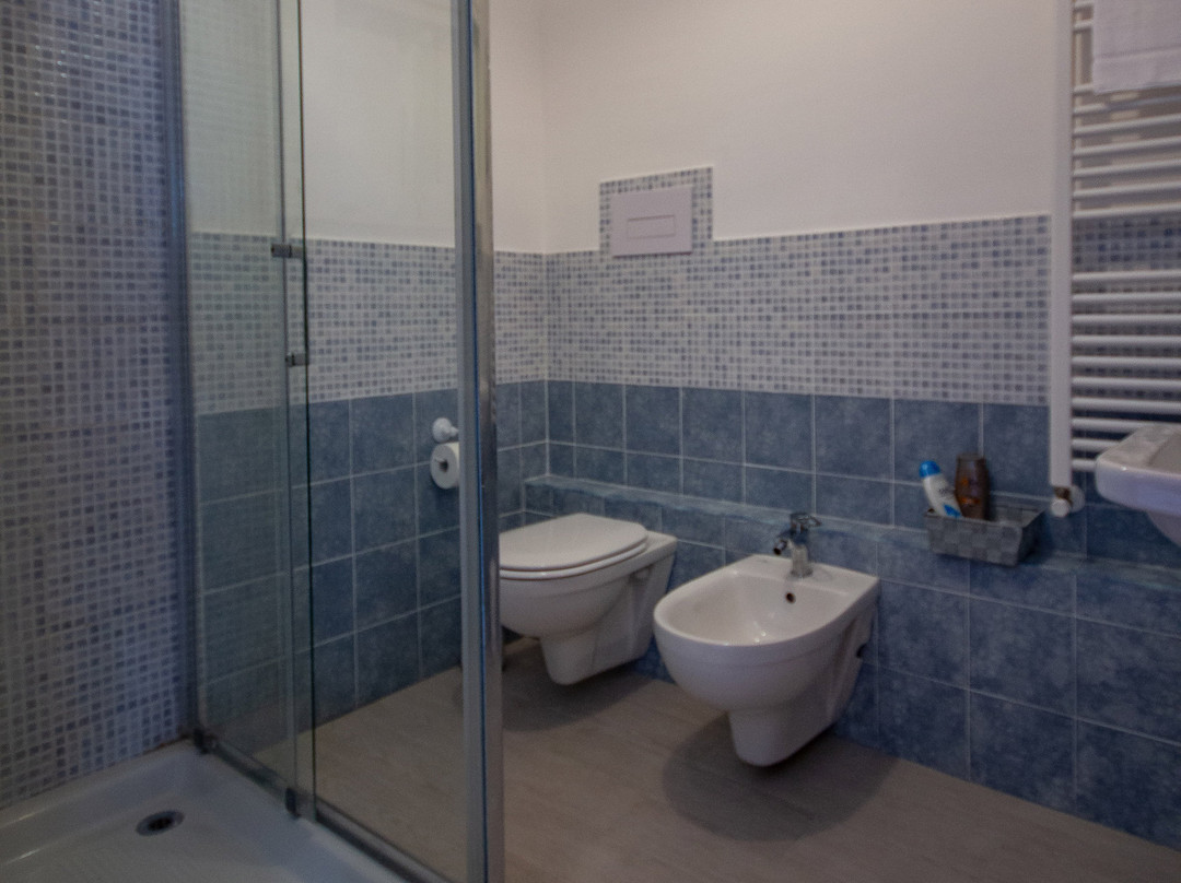 B&B La Camelia - CIN IT083105C1XSLDNXXL主图